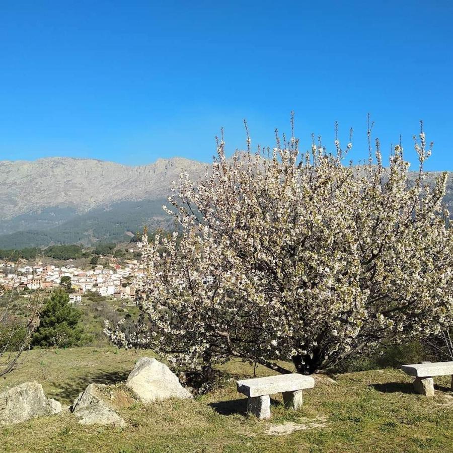 Hotel Rural Los Molinillos เอล อาเรนาล ภายนอก รูปภาพ